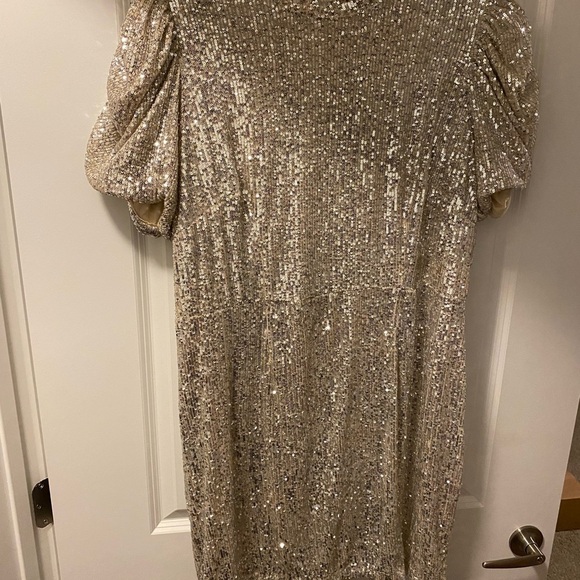 Elegant Sequin Dress - Picture 1 of 6